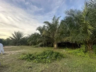 For sale land in Yan Ta Khao, Trang