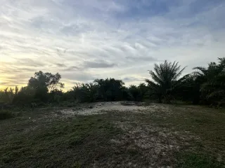 For sale land in Yan Ta Khao, Trang