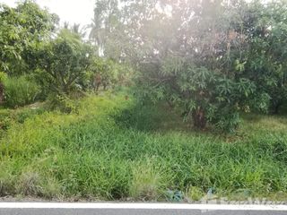 For sale land in Hankha, Chainat