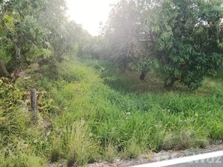 For sale land in Hankha, Chainat