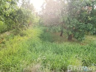 For sale land in Hankha, Chainat