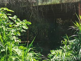 For sale land in Sikhio, Nakhon Ratchasima