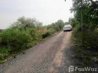 For sale land in Dan Khun Thot, Nakhon Ratchasima