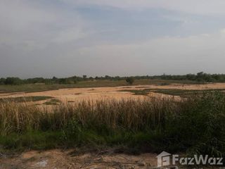 For sale land in Dan Khun Thot, Nakhon Ratchasima