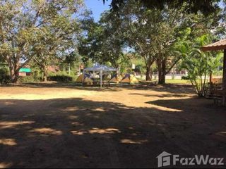 For sale land in Chiang Khan, Loei
