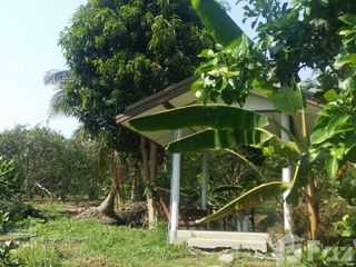 For sale land in Amphawa, Samut Songkhram