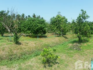 For sale land in Amphawa, Samut Songkhram