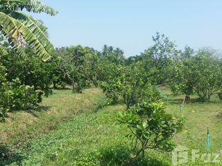 For sale land in Amphawa, Samut Songkhram