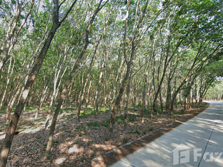 For sale land in Ban Khai, Rayong