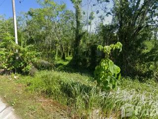 For sale land in Lamae, Chumphon