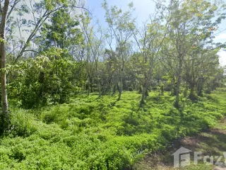 For sale land in Lamae, Chumphon