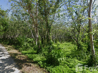 For sale land in Lamae, Chumphon