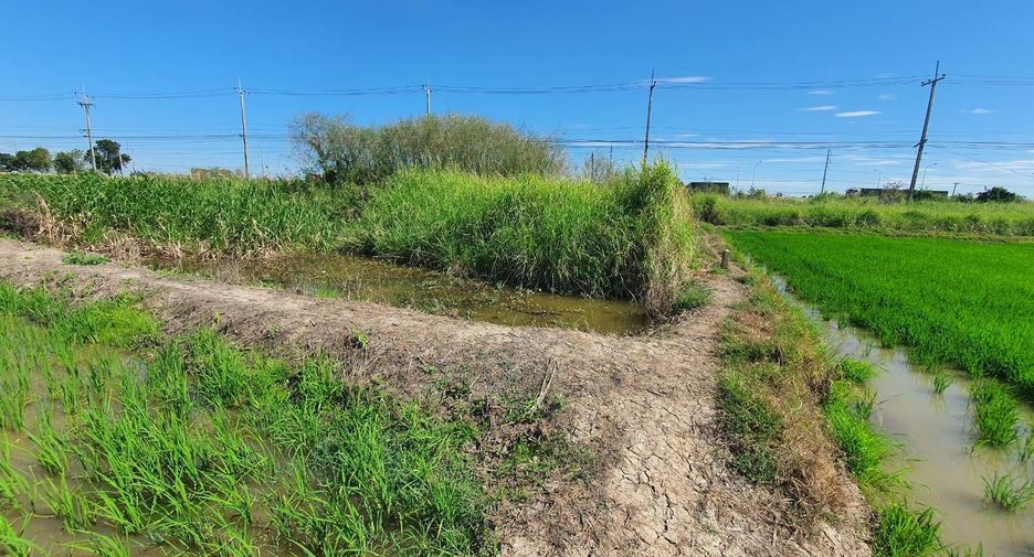 For sale land in In Buri, Sing Buri