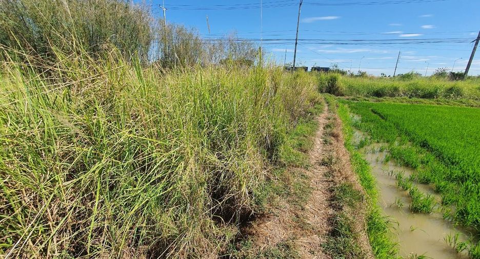 For sale land in In Buri, Sing Buri