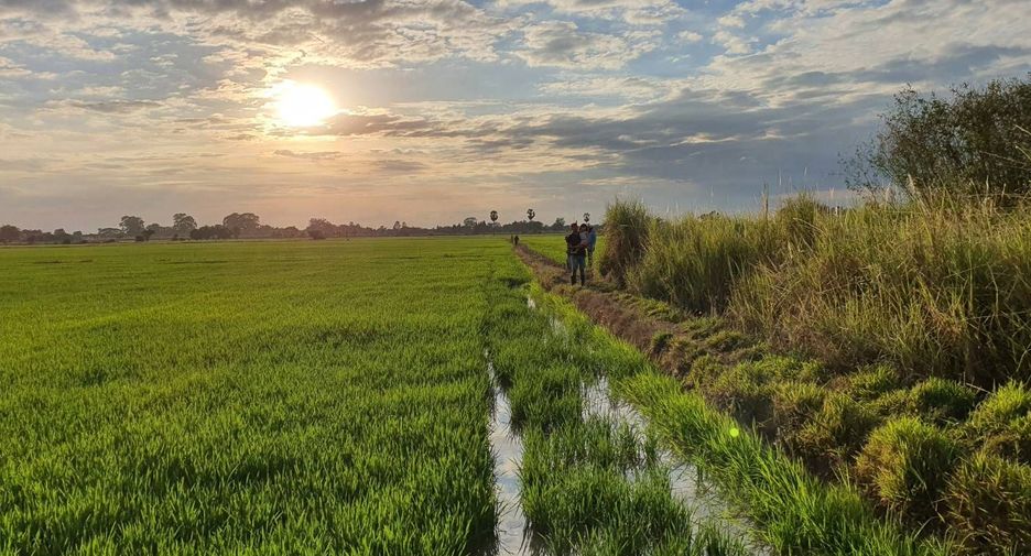 For sale land in In Buri, Sing Buri