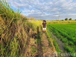 For sale land in In Buri, Sing Buri