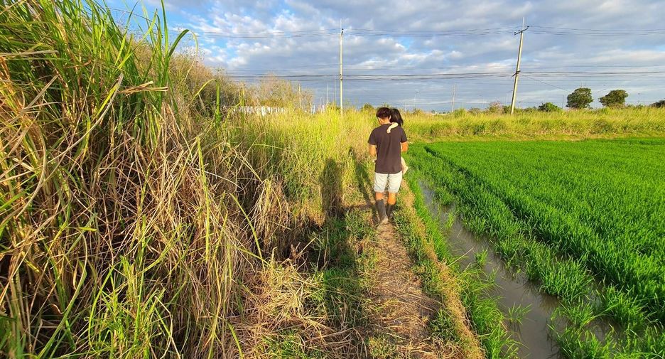 For sale land in In Buri, Sing Buri