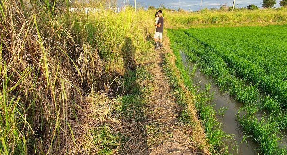 For sale land in In Buri, Sing Buri