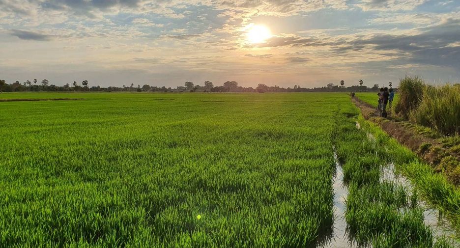 For sale land in In Buri, Sing Buri