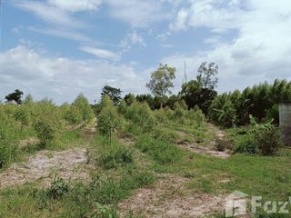 For sale land in Ko Chan, Chonburi