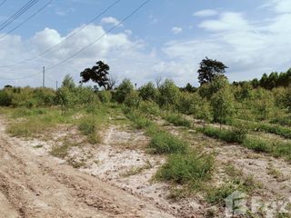 For sale land in Ko Chan, Chonburi