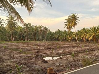For sale land in Amphawa, Samut Songkhram