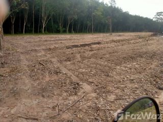 For sale land in Nong Yai, Chonburi