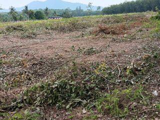 For sale land in Nong Yai, Chonburi