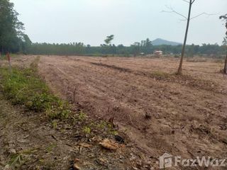 For sale land in Nong Yai, Chonburi