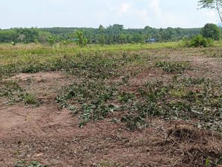 For sale land in Nong Yai, Chonburi