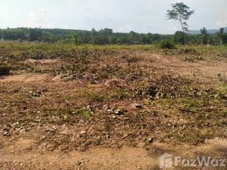 For sale land in Nong Yai, Chonburi