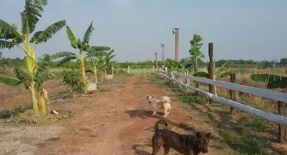 ขาย ที่ดิน ใน ไชยวาน, อุดรธานี
