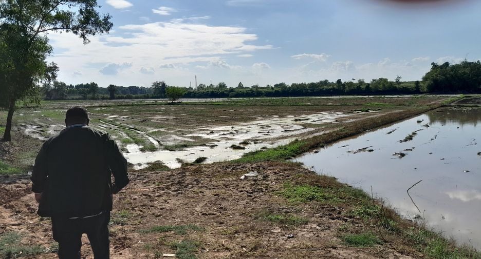 For sale land in Mueang Phichit, Phichit