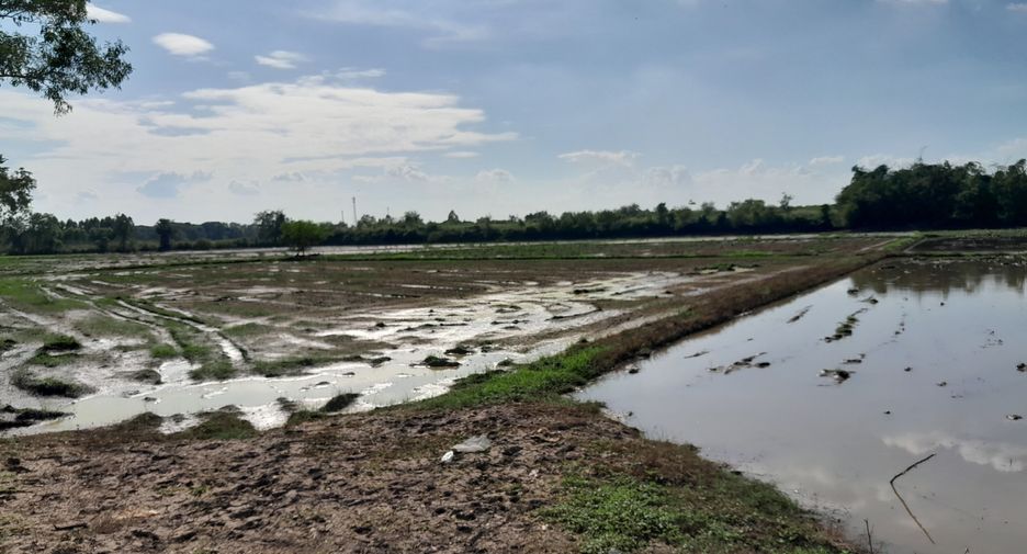 For sale land in Mueang Phichit, Phichit