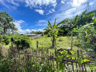 For sale land in Pai, Mae Hong Son