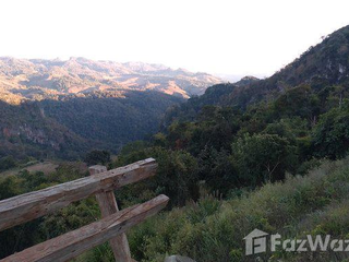 For sale land in Pai, Mae Hong Son