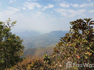 For sale land in Pai, Mae Hong Son