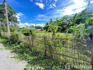 For sale land in Pai, Mae Hong Son