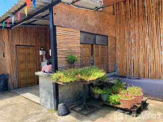 For sale land in Pai, Mae Hong Son