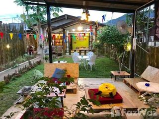For sale land in Pai, Mae Hong Son