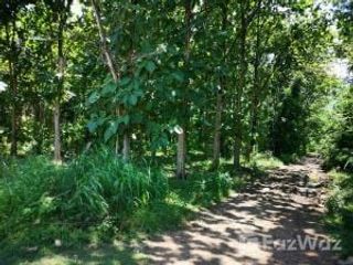 For sale land in Tak Fa, Nakhon Sawan