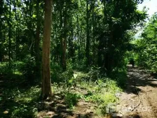 For sale land in Tak Fa, Nakhon Sawan