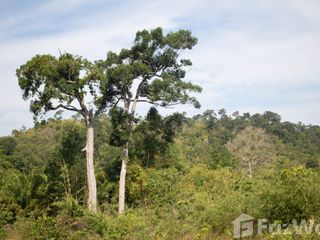 For sale land in Takua Pa, Phang Nga