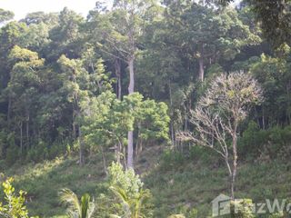For sale land in Takua Pa, Phang Nga