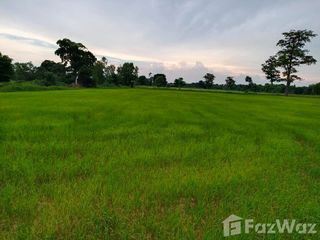 For sale land in Loeng Nok Tha, Yasothon