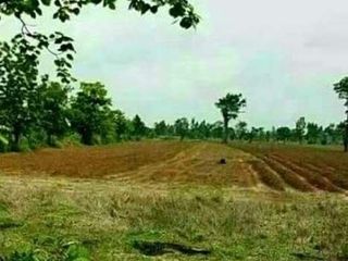 For sale land in Wichian Buri, Phetchabun