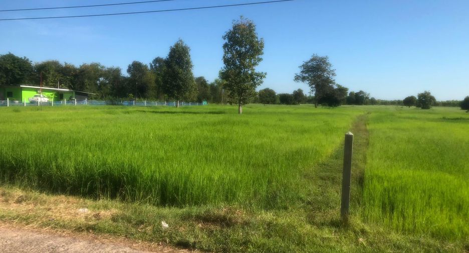 For sale land in Mueang Surin, Surin