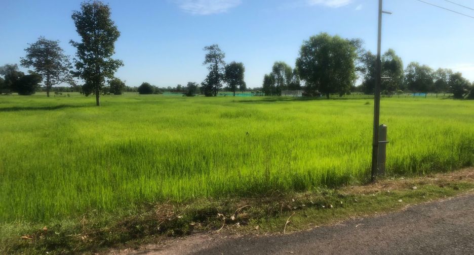 For sale land in Mueang Surin, Surin