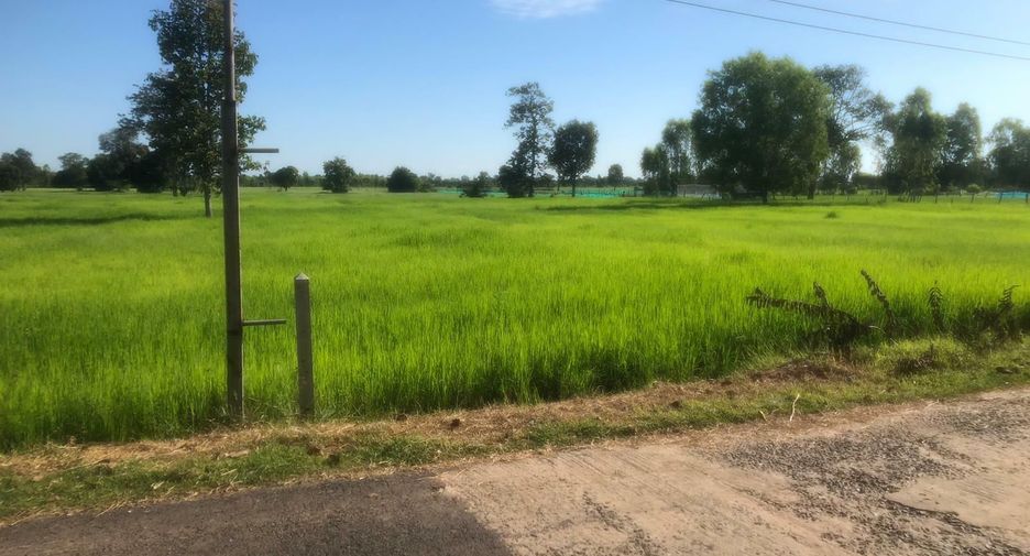For sale land in Mueang Surin, Surin