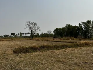 For sale land in Mueang Buriram, Buriram
